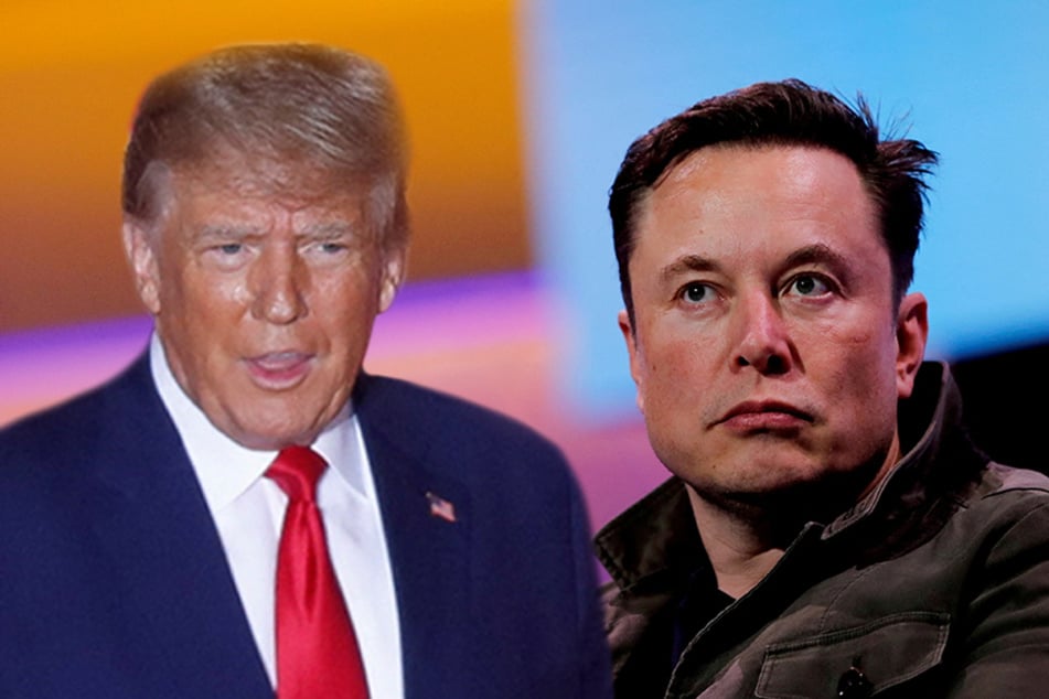 Elon Musk has just brought Donald Trump back to Twitter