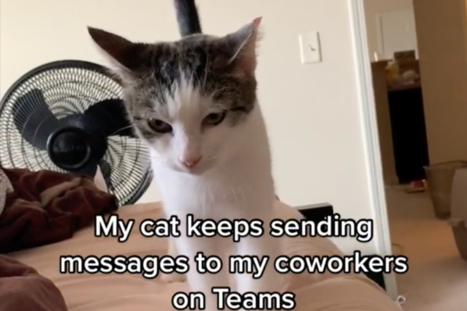 Buffy has been sending some coded messages to Kate's coworkers.