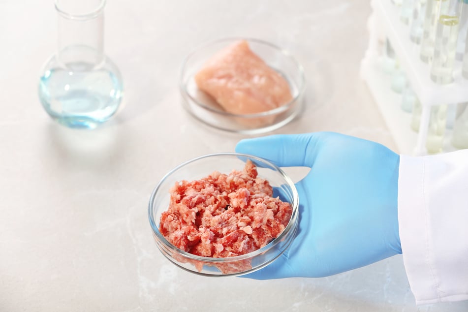 Lab-grown meat could solve many of the environmental challenges that surround food production.