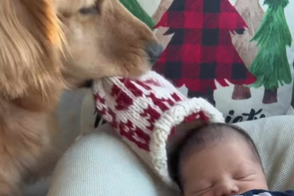 Hudson steals his baby brother's hat in a hilarious viral video.