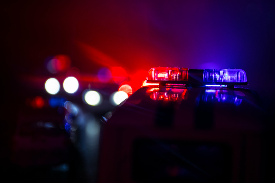 The Airbnb host, Arvin Pasha has been arrested and charged with assault.