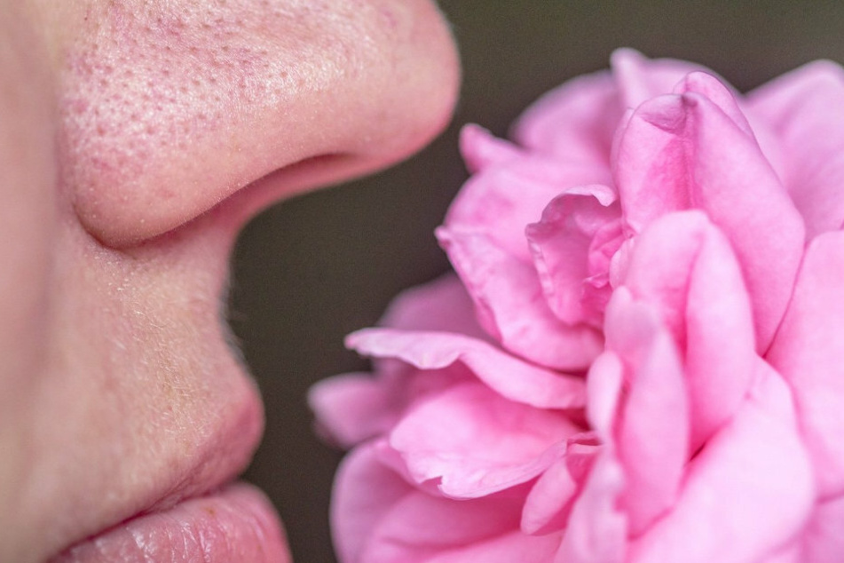 Loss of smell due to coronavirus: researchers make surprising discovery