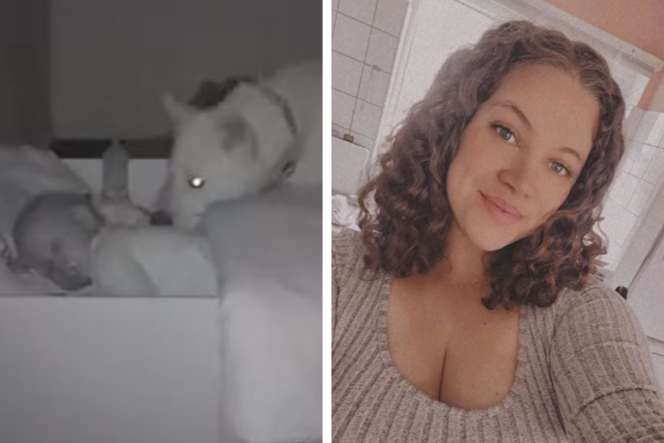 This dog's nightly routine has TikTokers gushing over the sweetness.