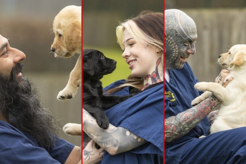 Dogs often react strongly to people with unusual characteristics, like extreme face tattoos or piercings.