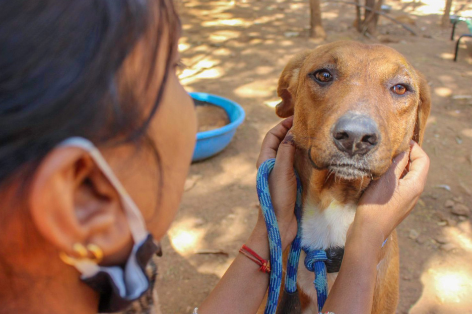 Dog gets help, but he's still feeling blue and his rescuers can't figure out why