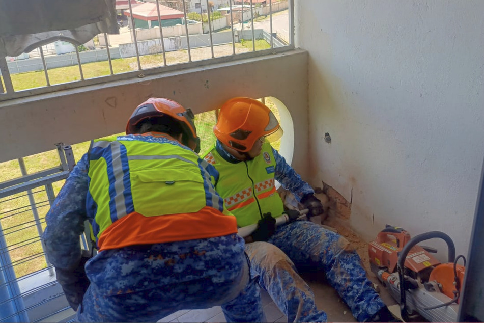 Emergency services cut the animal out of the wall using a special saw.