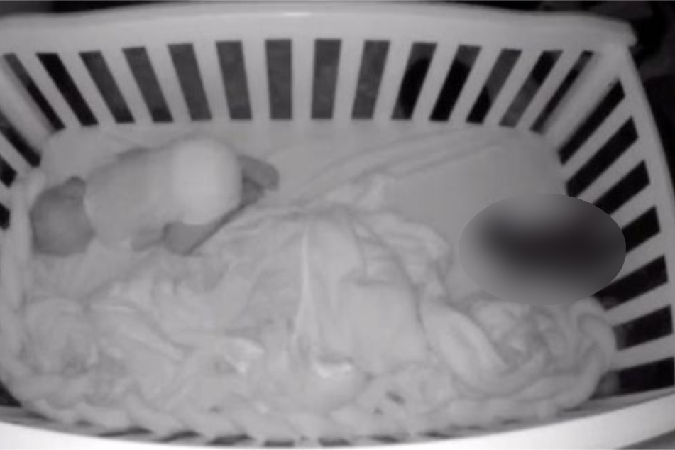 Baby gets a surprise visit from a furry friend at bedtime