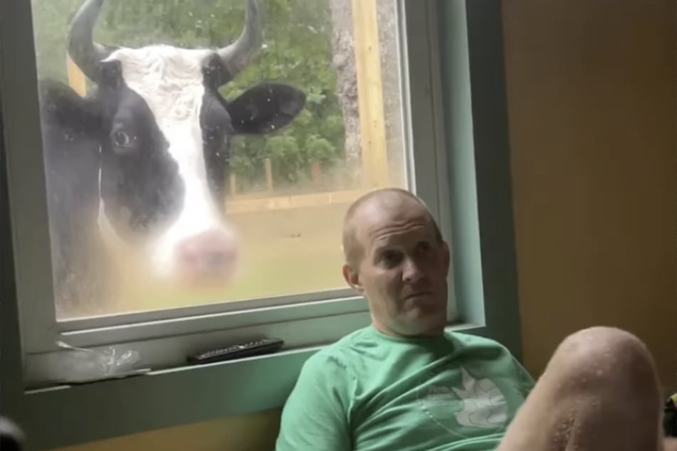 Jenna regularly stands at the window and demands hugs from her human family.