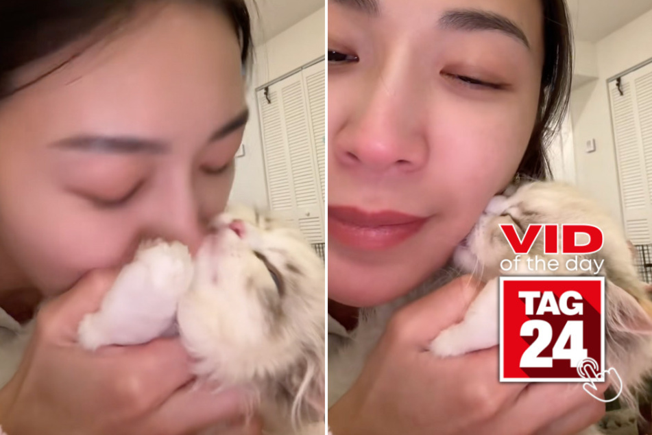 Viral Video of the Day for January 24, 2026: This cat is giving kisses back, and the internet is losing it!