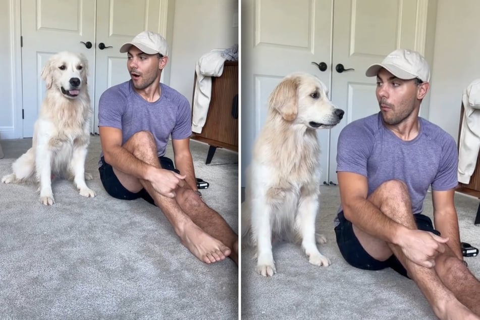 Corey Moriarty uses a fart machine to provoke his Golden Retriever, Bauer.