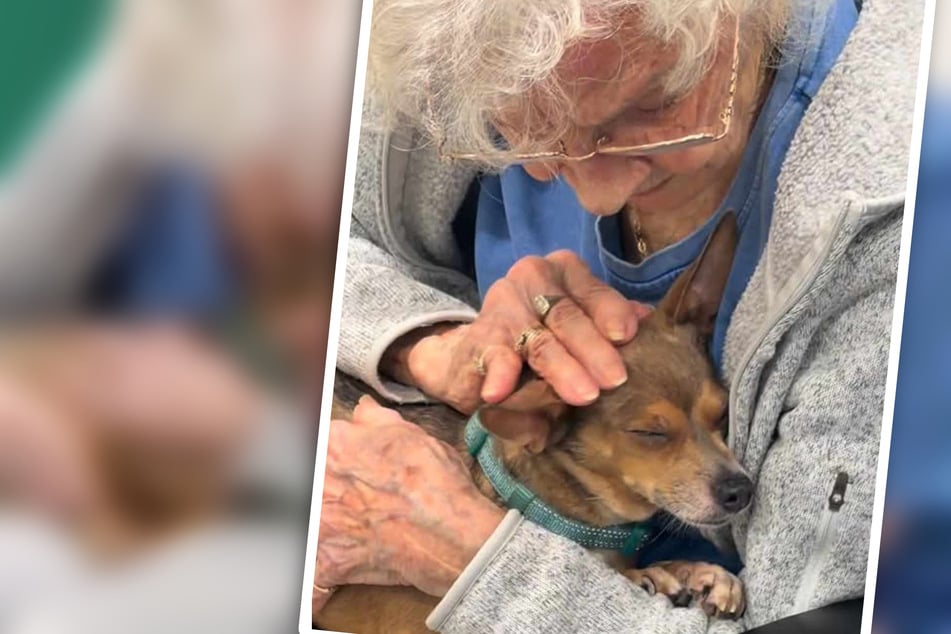 Donna James (90) and her little dog Mocha adore each other.