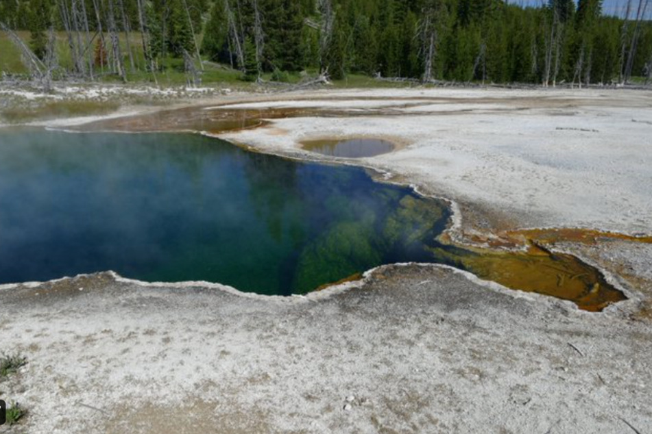 An employee found part of a foot in a shoe floating in Abyss Pool.