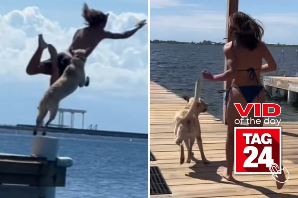 Viral Video of the Day for March 29, 2023: Doggy diving!