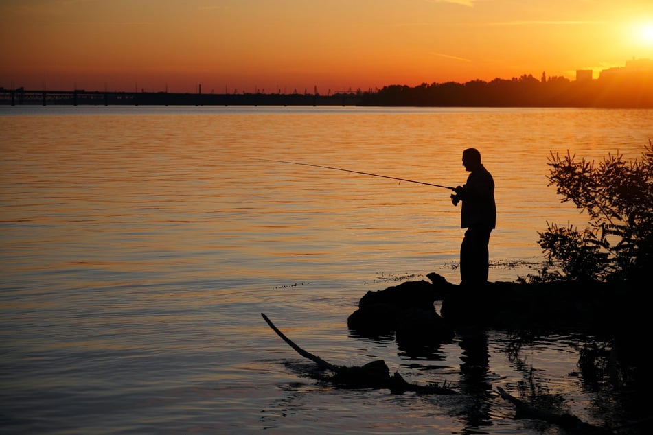 Fish frenzy on the horizon: Here are the fishing gear picks for Wednesday, September 16