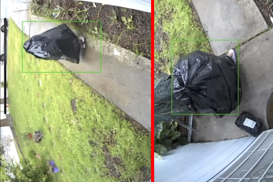 Thief takes on wild disguise in brazen porch robbery