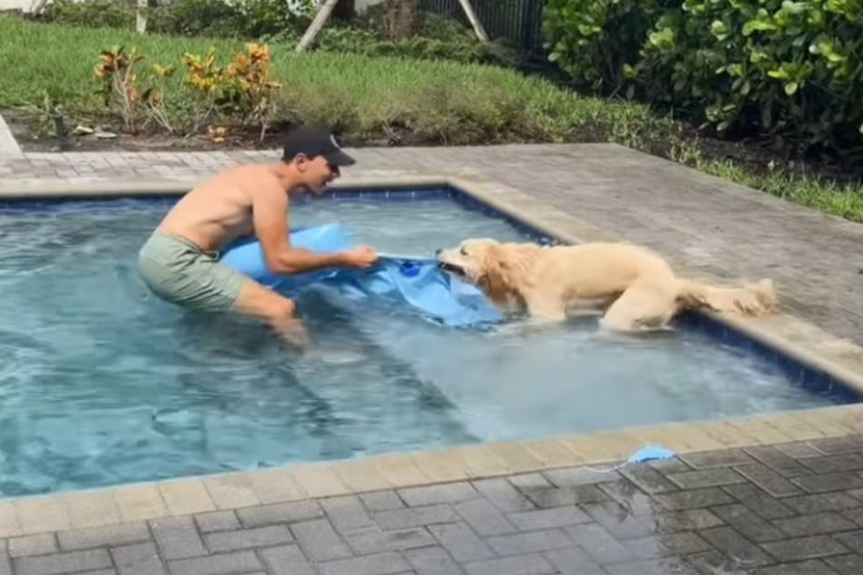 The dog owner's new floatie appears to be ruined after the splash attack! 