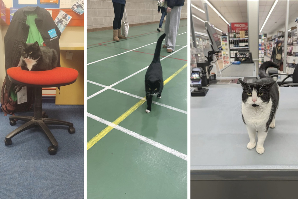Mischief has been spotted just about everywhere, from malls to offices and everything in between!