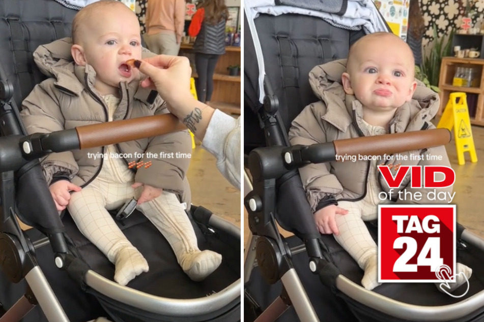 Viral Video of the Day for November 18, 2023: Baby tries bacon for the first time!