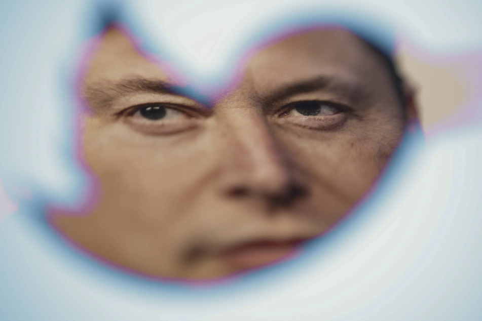 Twitter users didn't hold back in Elon Musk's replies.