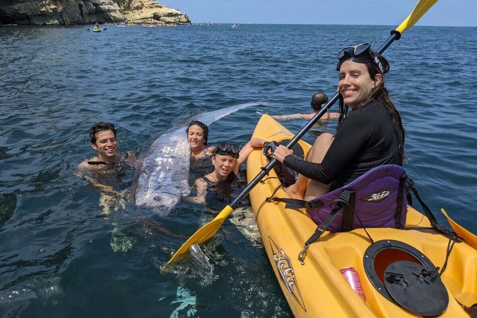 "Doomsday fish" found by snorkelers in extremely rare deep sea discovery!
