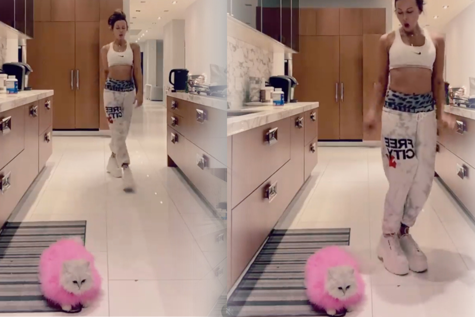 While Kate Beckinsale (47) dances happily, her cat Willow looks completely unimpressed (collage).