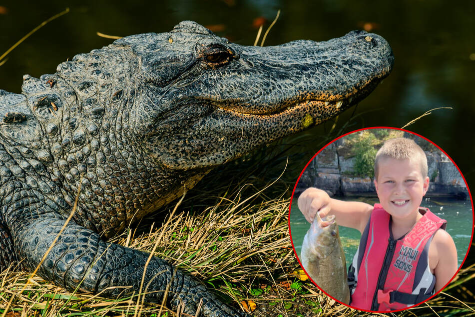 11-year-old boy loses his hand in violent alligator attack: "He is definitely afraid of Florida"