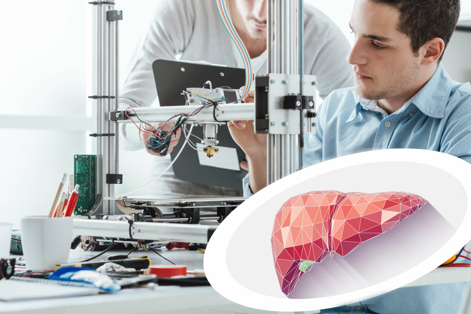 Hot off the presses! New bioprinted organs could save lives