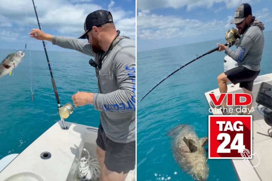 Viral Video of the Day for May 30, 2026: Fisherman reels in fish so huge he has to jump in for proof!