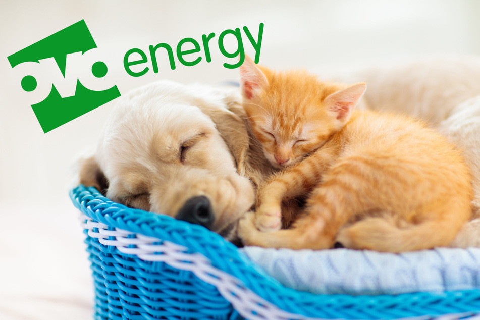 British energy firm in hot water after advising customers to "cuddle pets" to warm up