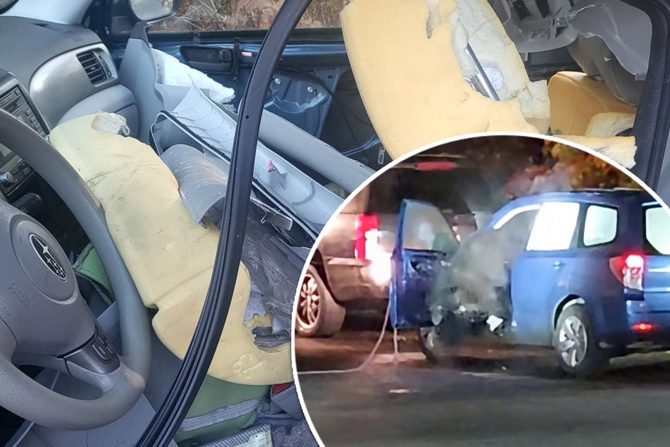 Bear locks itself inside family's Subaru – and lays on the horn!