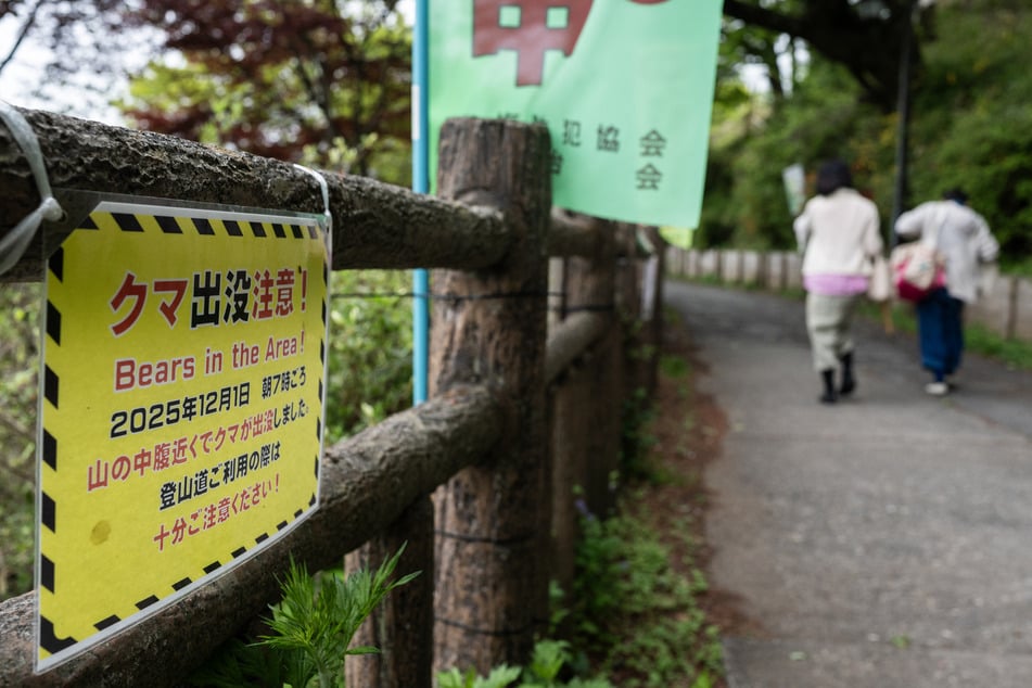 Bear on a biting blitz injures multiple people in Japan!