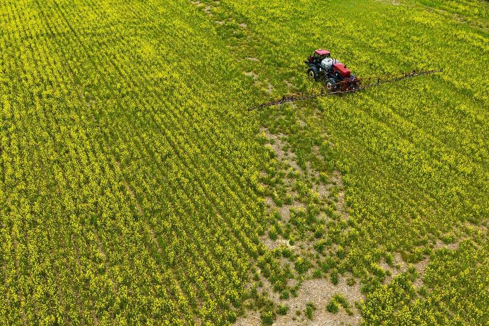 A farmer spreads pesticide on a field in Centreville, Maryland.