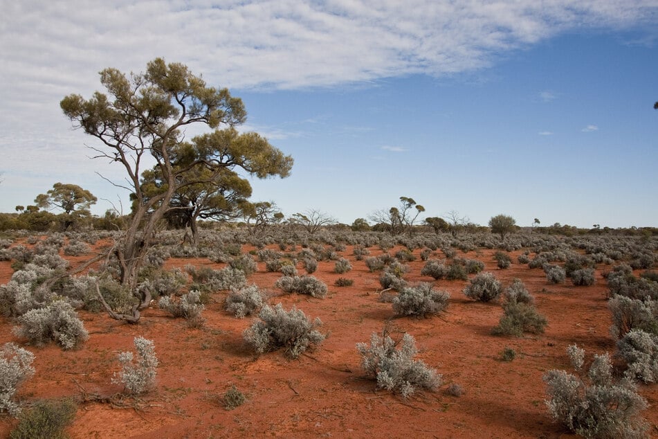 Four-year-old autistic girl gets lost in the Outback, then two miracles happen at once!