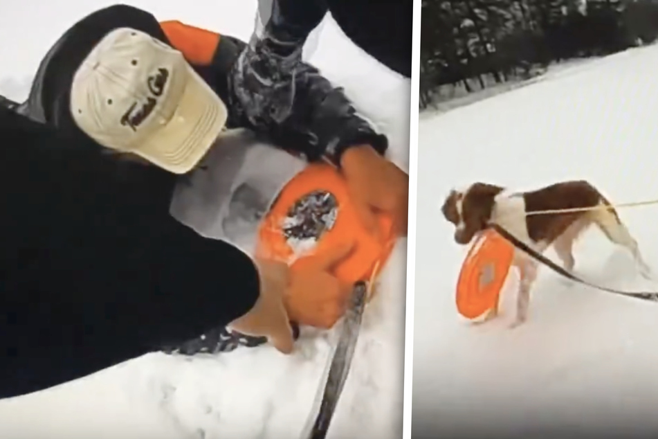 Dog teams up with police officer to rescue owner from frozen lake