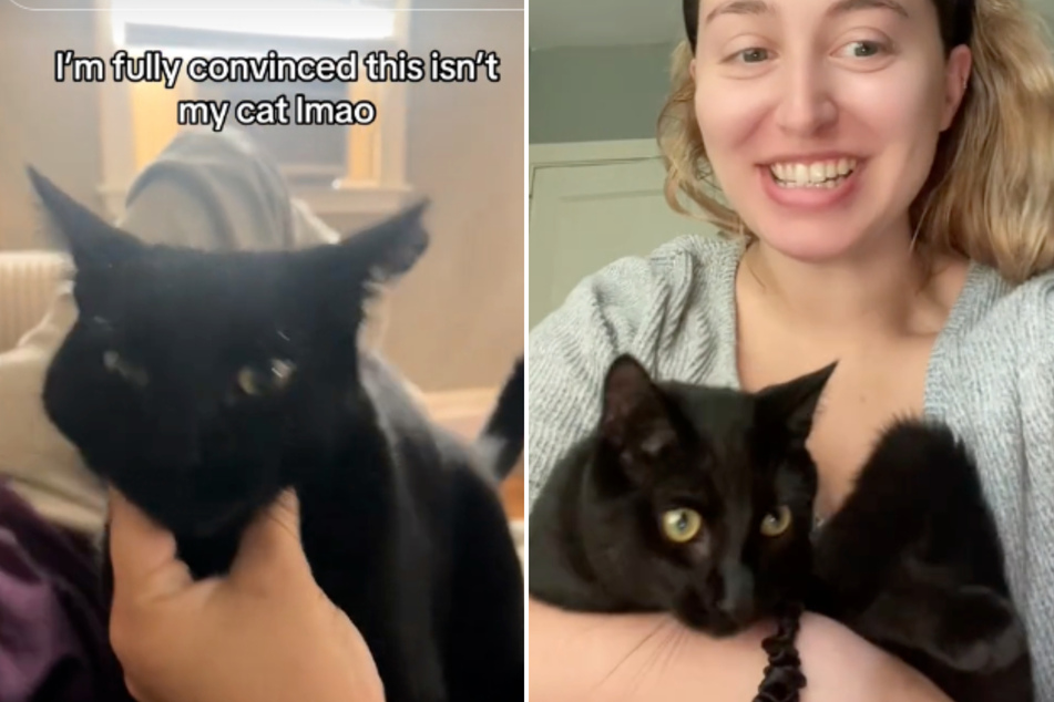 TikToker thinks her cat has been replaced by a doppelganger in viral video mystery!