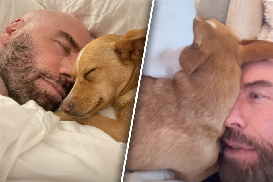 John Travolta's dog Peanut has fans swooning over her adorable bathtime excitement