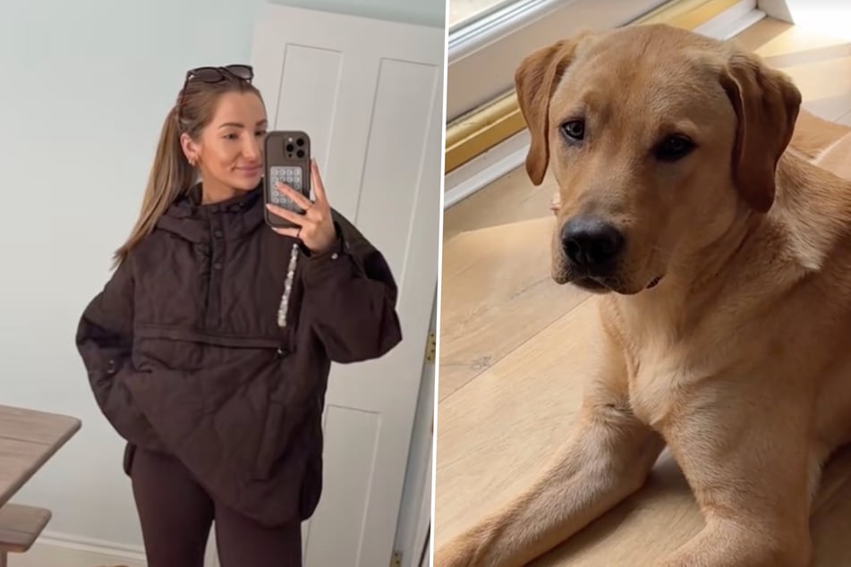 Dog owner runs home to rescue her dog when she sees what's happening on the pet camera