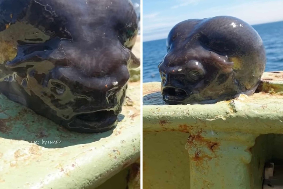 What is that? Fisherman catches creepy mystery creature
