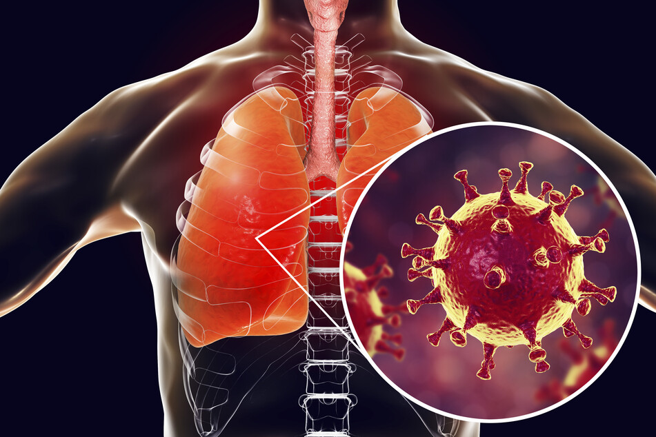US reports sharp fall in new Covid-19 cases over the weekend