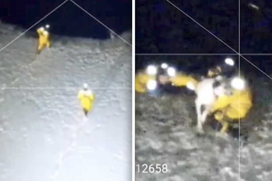In Massachusetts, a dog named Rufus had be to rescued by emergency workers after he fell through a sheet of ice into a freezing lake!