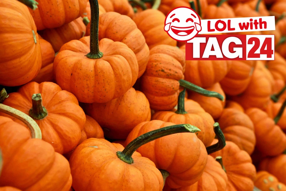 Joke of the Day for October 29, 2024: The best Halloween jokes to get your funny on