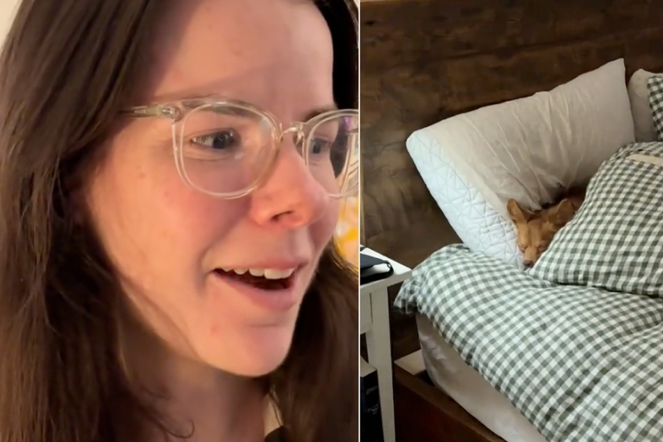 Isabel Klee caught her foster dog Ilya in her bed, something the four-legged friend is not allowed to do.