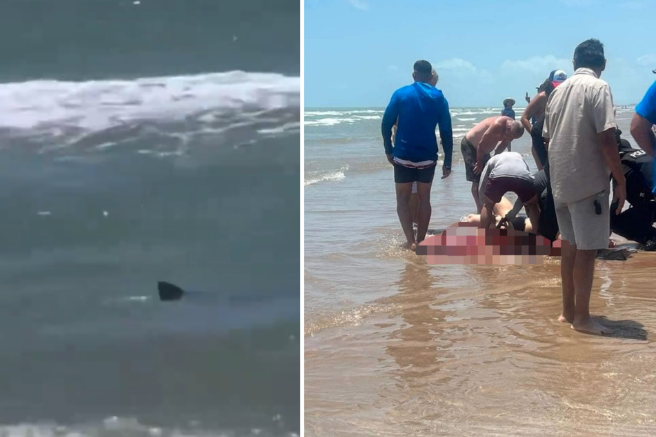 Beachgoers in Cameron County, Texas, faced four encounters with a shark in just one day as the beach was plagued by shark attacks on Thursday.