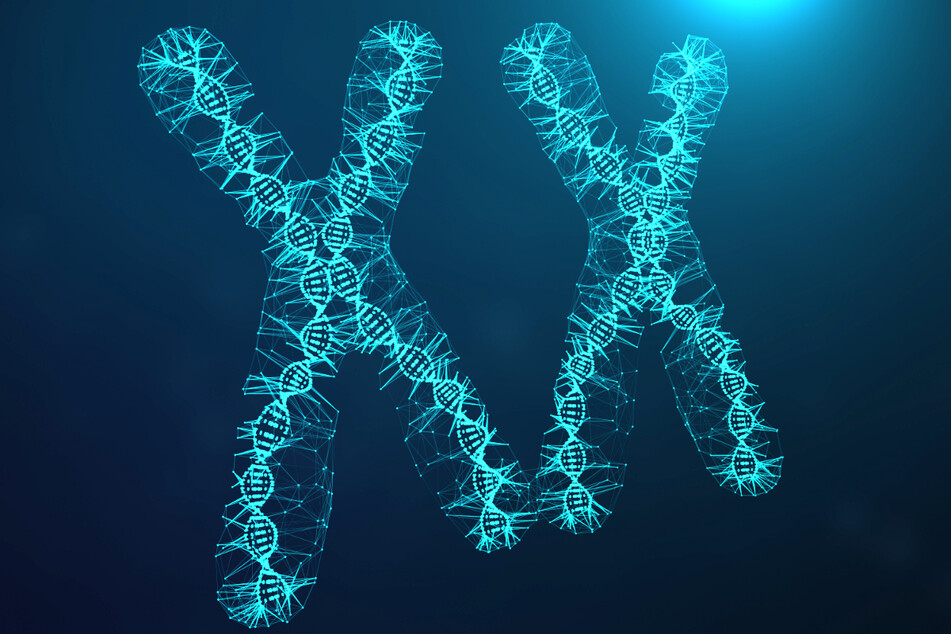 Females are usually born with two X chromosomes, but this young Chinese woman was born with the male XY chromosome distribution.. (stock image)