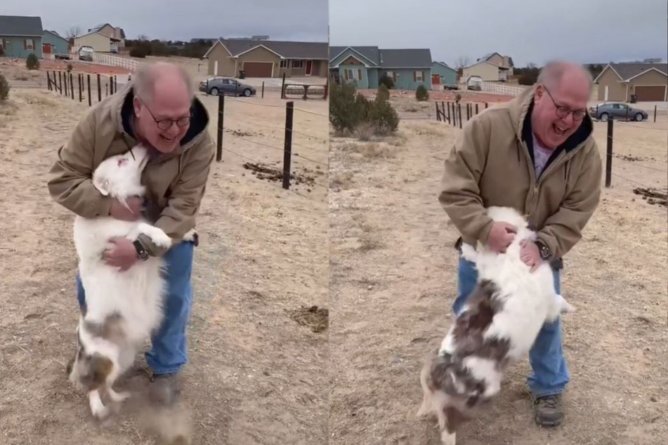 Who's happier, Bitsy or Steve? (collage)