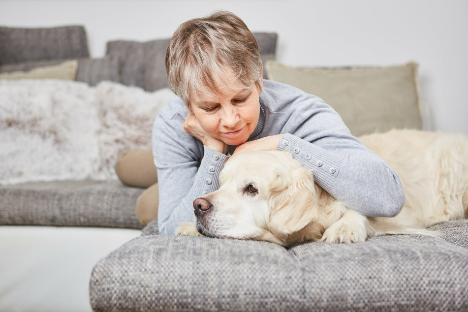Make sure that your old dog sleeps somewhere that is draft free, warm, and comfortable.
