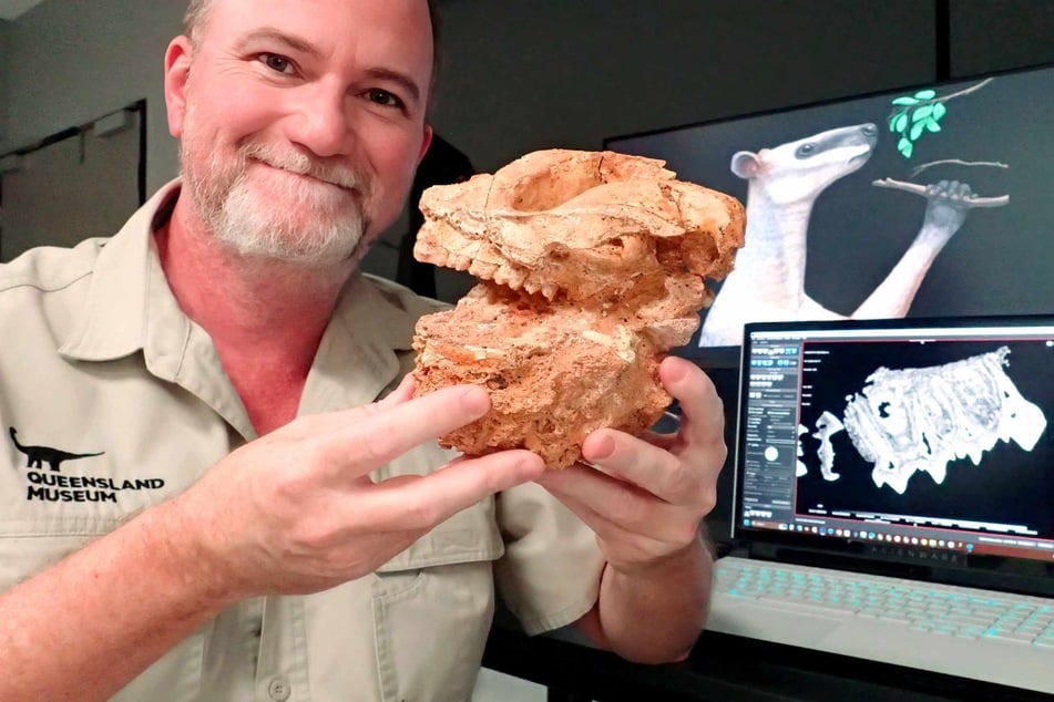 Why did giant prehistoric kangaroos go extinct? Scientists have new answers