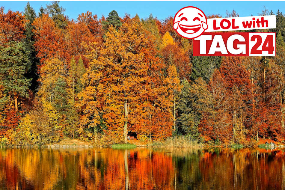 Joke of the Day for October 9, 2026: A joke for fall