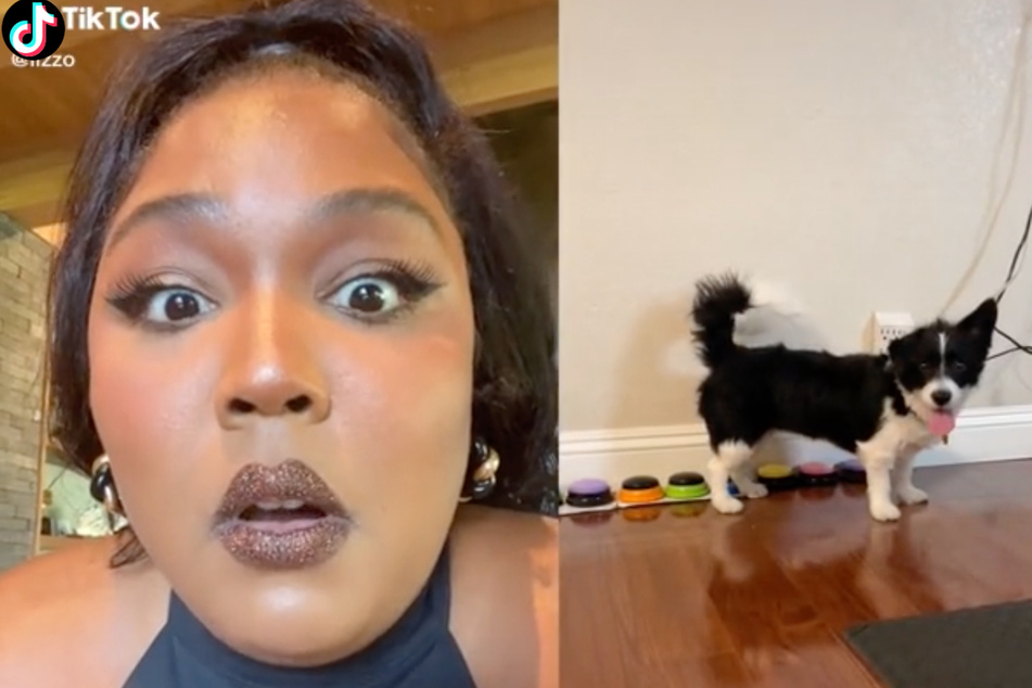 Lizzo thrills fans with doggy duet on TikTok: "I love you b****"