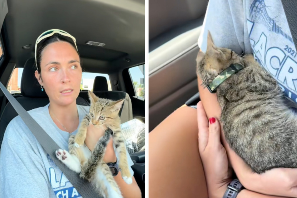 Little Sam immediately felt right at home with Kaitlyn!
